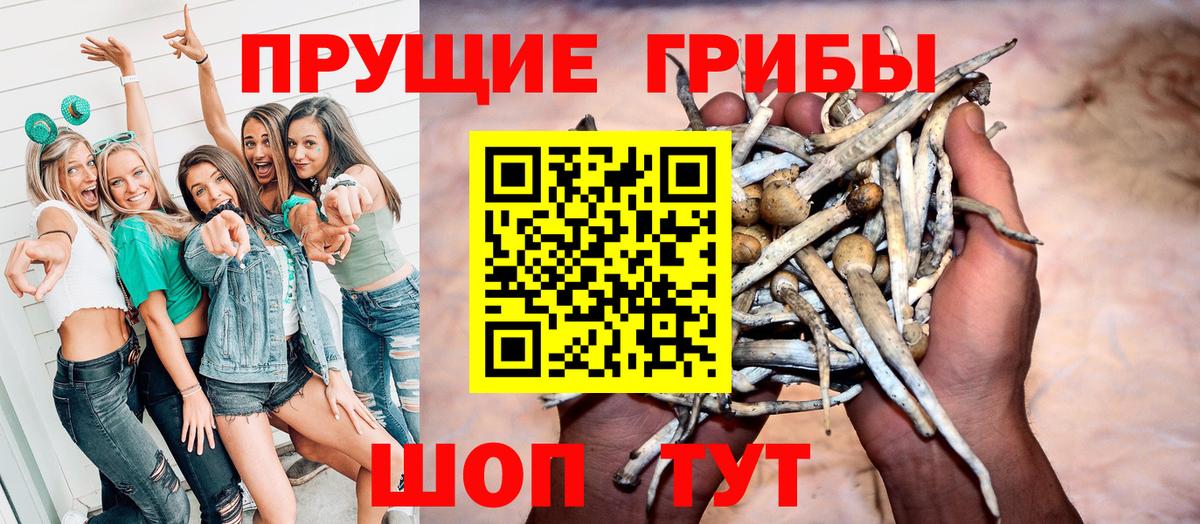 Псилоцибиновые грибы Psilocybine cubensis Норильск
