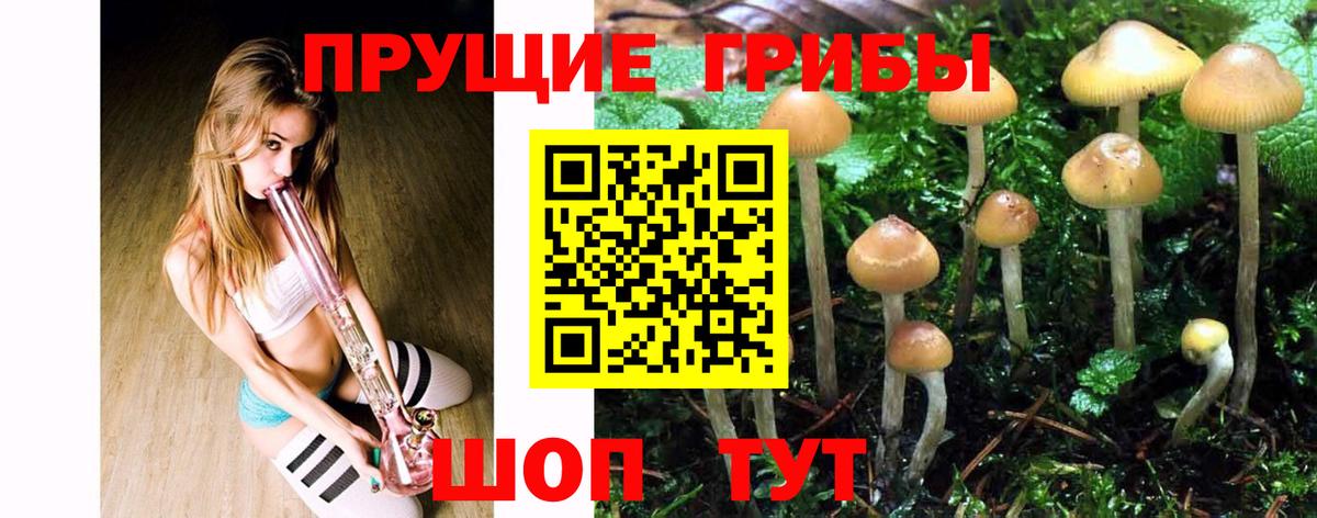 Норильск  Псилоцибиновые грибы Psilocybe  Вход с VPN  Псилоцибиновые грибы Magic Shrooms 